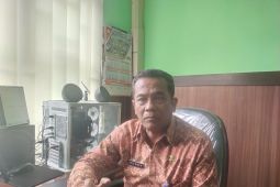 DLH Kota Jambi  pangkas 131 pohon antisipasi tumbang