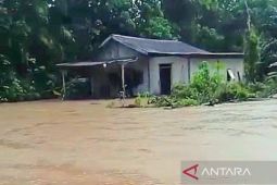 Satu desa di Kotim dilanda banjir luapan sungai