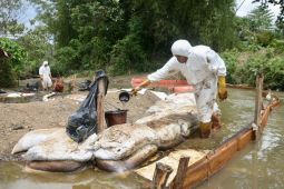 Presdir Vale Indonesia duga kebocoran pipa minyak karena gempa bumi di Poso