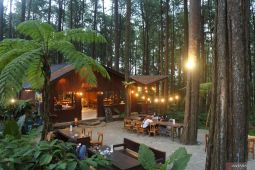 Kedai kopi Koperasi Merah Putih Sidomulyo