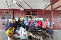 Pemprov Papua beri bantuan ternak babi ke peternak di Sentani Timur