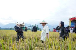 Sigi tingkatkan dan perkuat produksi pertanian daerah