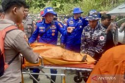 Kemenhub dukung KNKT untuk investigasi penyebab heli jatuh di Kalsel