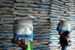 Pupuk Indonesia sediakan 246.919 ton pupuk untuk Indonesia Timur