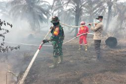 448,73 hektare lahan terbakar  di Jambi sejak Januari-Agustus 2025