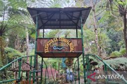 Ekowisata Sungai Mudal: Destinasi hijau yang menawan