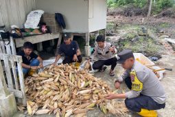 Polres Lingga edukasi para petani jagung adaptif terhadap perubahan iklim