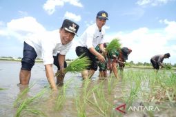 Bangkalan salurkan bantuan alsintan untuk kelompok tani