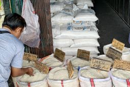 Pedagang beras Cipinang keluhkan kerugian akibat harga gabah yang tinggi