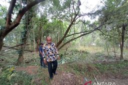 Bupati Jayapura pastikan kebersihan lingkungan kantor dengan patroli keliling