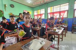 Pemprov: Pangan lokal menjadi tumpuan Papua sukseskan MBG