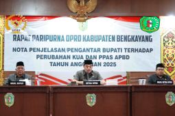 Realisasi PAD Kabupaten Bengkayang semester I 2025 mencapai Rp81,4 miliar
