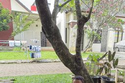 Menag Nasaruddin Umar beri bantuan pembangunan majelis taklim yang roboh di Bogor