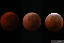 Menyaksikan "blood moon" di langit Jakarta