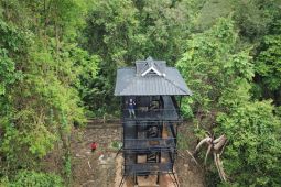 Badak Musofa gagal diselamatkan, TNUK perkuat deteksi dan kelola habitat