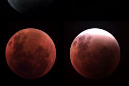Warga Madiun ikut amati fenomena "blood moon" dan gelar shalat gerhana