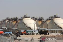 IAEA serukan kawasan Timur Tengah bebas senjata nuklir