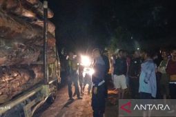 Anggota DPRD Taput desak penghentian penebangan hutan tanpa dokumen