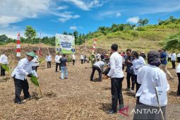Kemen Imipas Papua Barat canangkan penanaman 5 ribu bibit kelapa