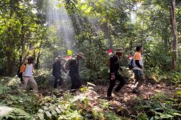 Kemenpar ajak masyarakat dan wisatawan ramaikan Bintan Trekking dan Fun Trail Run 2025