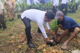 Kanwil Ditjenpas Kepri dukung ketahanan pangan tanam 2.900 bibit kelapa