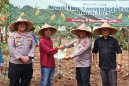 Dukung ketahanan pangan, Polda Banten tanam jagung di lahan 10 hektare
