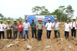 Kementan tinjau kebun bongkar ratoon SGN untuk awasi distribusi gula
