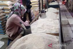 Harga beras medium turun jadi Rp13.731/kg, cabai rawit Rp48.171/kg