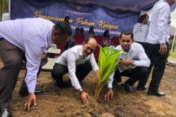 Kanwil Imipas  Maluku tanam 10.000 bibit kelapa untuk ketahanan pangan