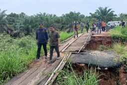Pemkab Batang Hari bersama DPRD survei jalan terputus di Pulau Betung