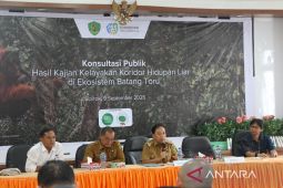 Tapsel gelar konsultasi publik studi kelayakan koridor ekosistem Batang Toru