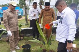 Pemprov Malut ikut program tanam 5.000 pohon kelapa