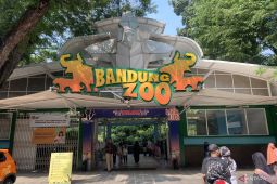 Bandung Zoo dituntut dibuka kembali, ini sikap Disnakertrans!