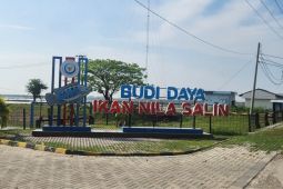 Waskita kerjakan proyek tambak nila salin senilai Rp238 miliar di Karawang