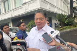 Airlangga nilai IHSG anjlok setelah reshuffle hanya sementara