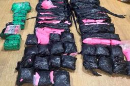 Penyelundupan 155.000 butir ekstasi di Aceh Timur digagalkan, seorang perempuan ditahan