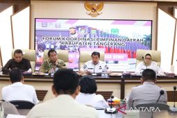 Jaga situasi kondusif, Kemendagri minta Tangerang tingkatkan siskamling