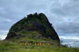 Bukit Kandis, pesona alam Bengkulu yang tawarkan kedamaian