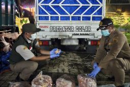 Karantina Lampung gagalkan penyelundupan produk hewan sebanyak 10,8 ton