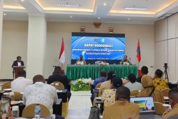 Dinkes Papua Barat Daya optimalkan perbaikan pelaporan SPM