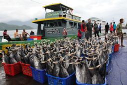 Kementerian perkuat pembangunan fasilitas perikanan tangkap di Indonesia timur