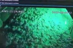 Kapolsek Tembagapura: PTFI terus upayakan evakuasi pekerja terjebak dalam tambang