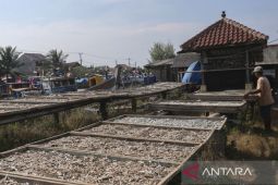 Pagu anggaran KKP tahun 2026