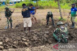 Satgas Yonif 521/DY dorong program ketahanan pangan di Mamteng