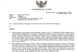 Antisipasi kelangkaan, Gubernur Aceh usulkan tambahan kuota LPG dan biosolar subsidi