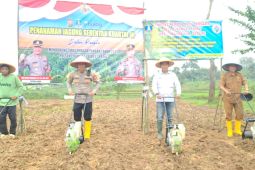 Program satu desa dua hektar jagung berjalan di Cikande Serang