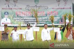 Pemprov Kaltim  targetkan swasembada beras 400 ton per tahun