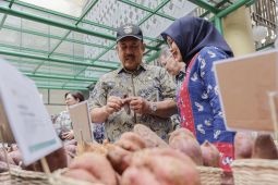Ubi jalar didorong sebagai komoditas unggulan