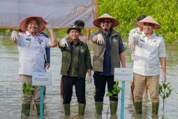 Menhut targetkan rehabilitasi mangrove seluas 15.387 hektare pada 2025