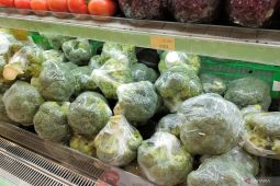 Perbanyak konsumsi sayur dapat turunkan berat badan